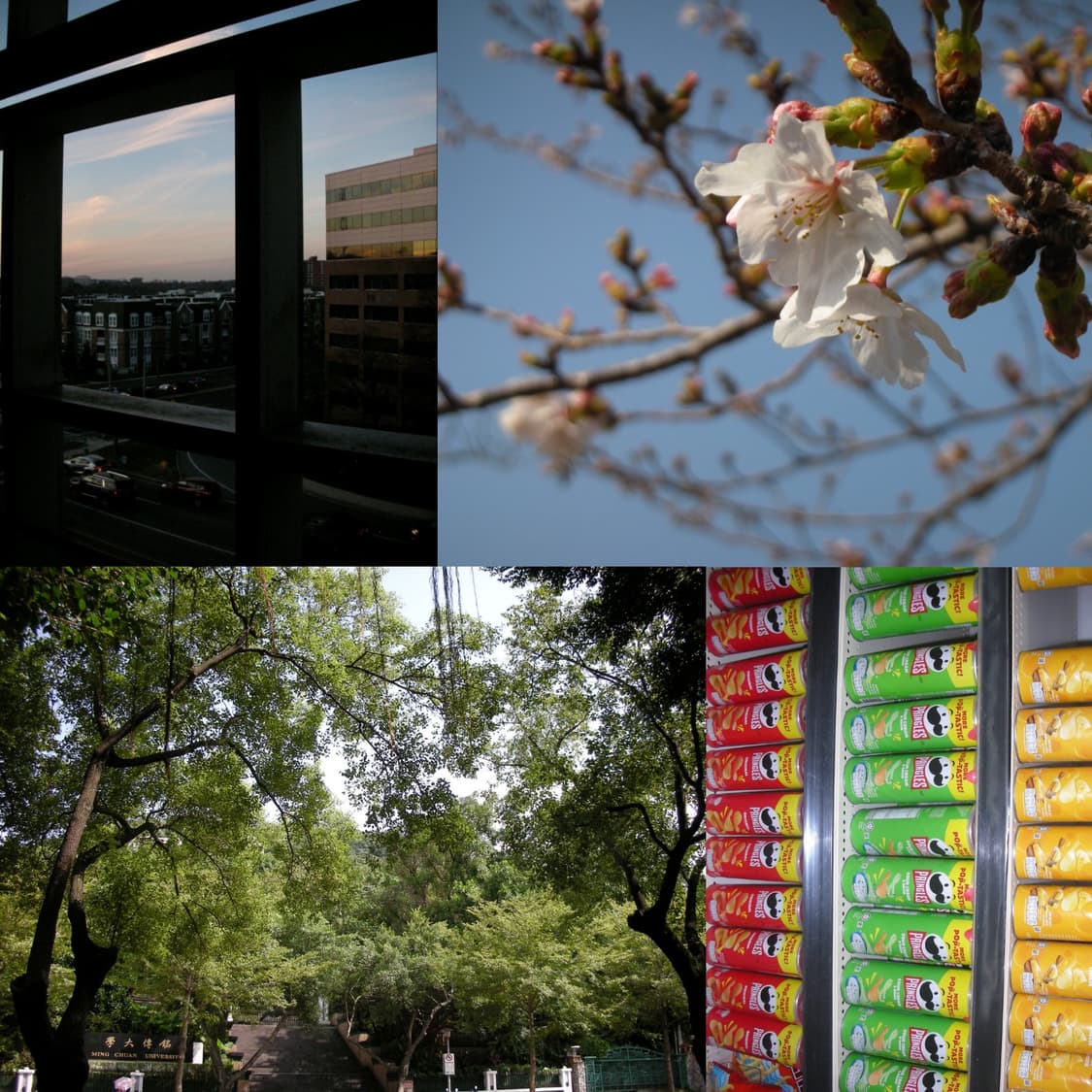 니콘 쿨픽스 s8 (작례 0) 상품이미지4