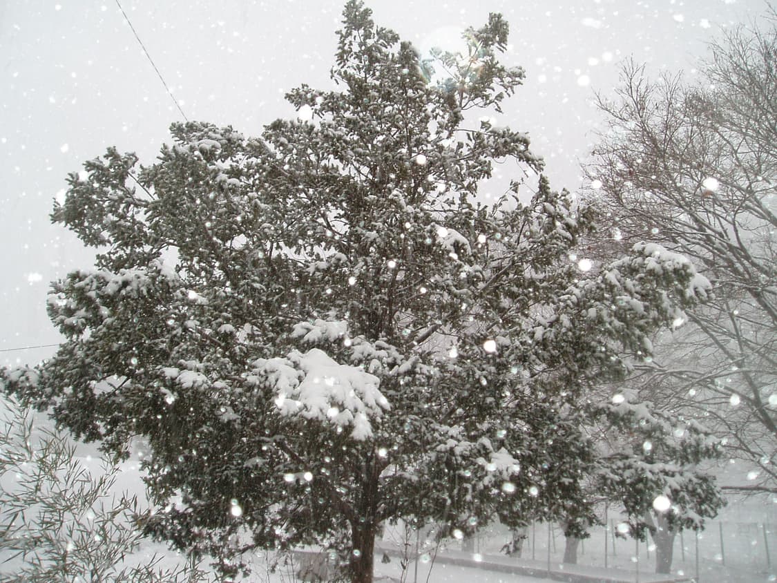 올림푸스 stylus 410 (작례O) 상품이미지7