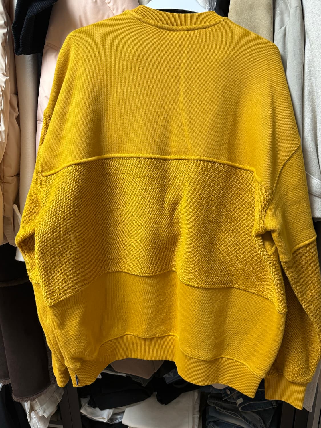 피지컬 에듀케이션 디파트먼트 맨투맨 머스타드 상품이미지2