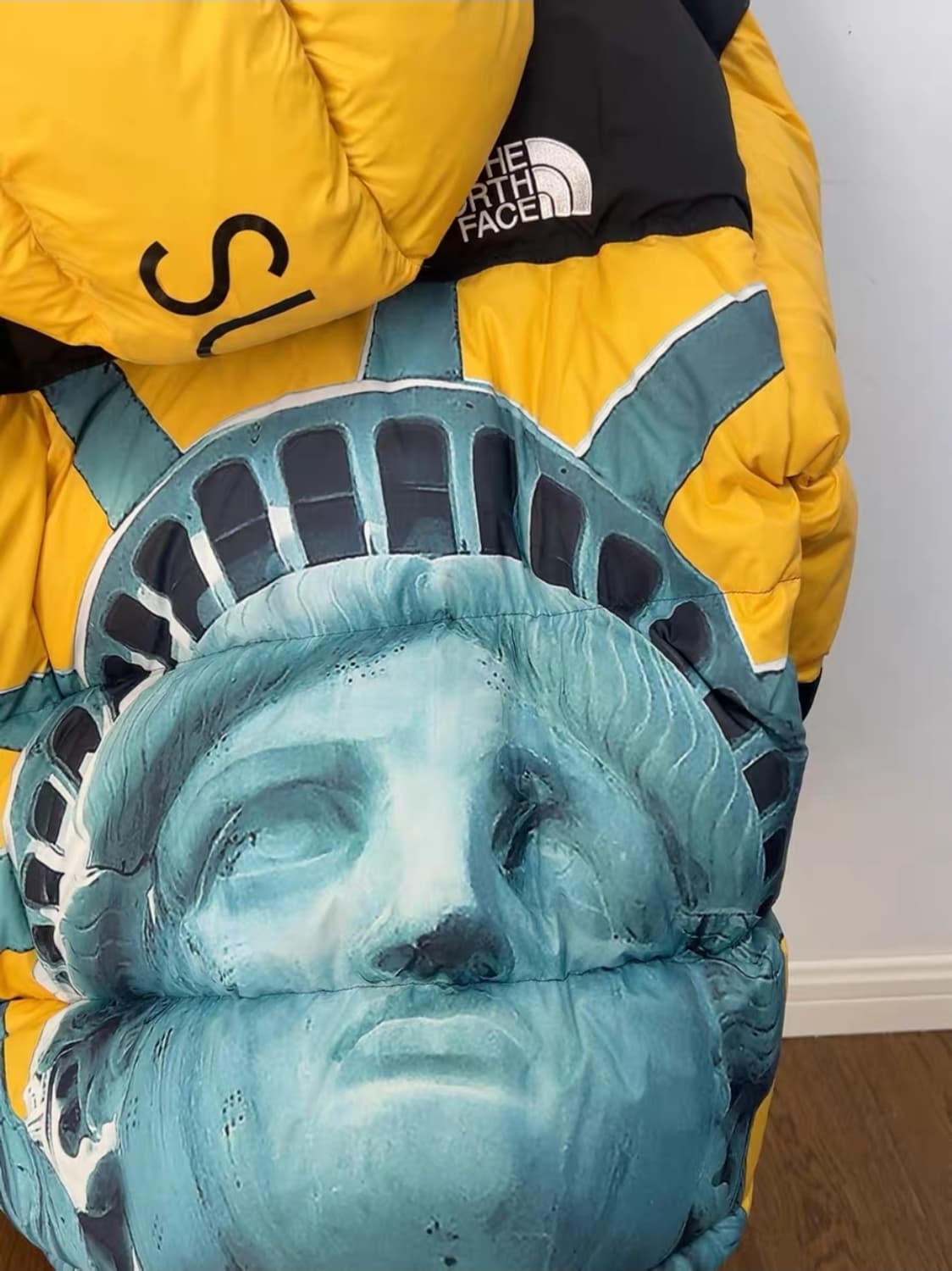 슈프림 노스페이스 자유의여신상 발토로 M 상품이미지8