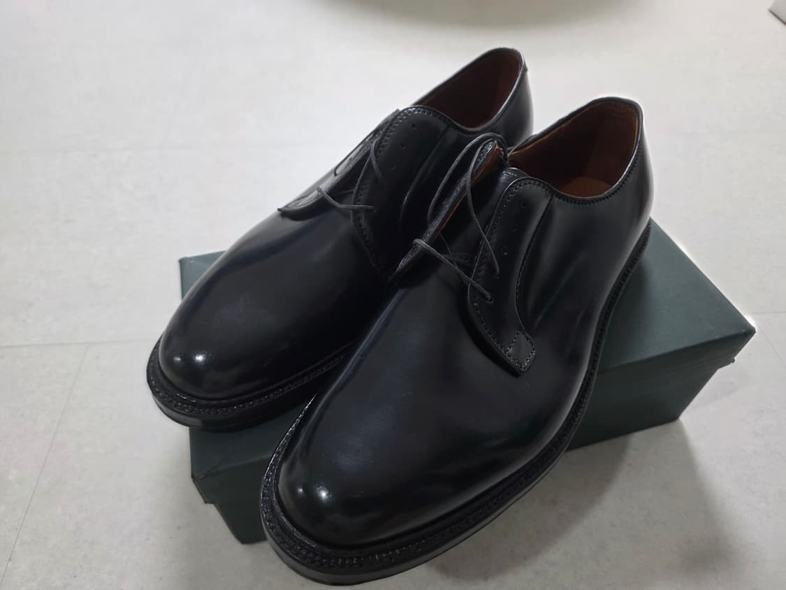 [새상품] 알든 9901 US 11.5 E 295 팝니다 상품이미지1