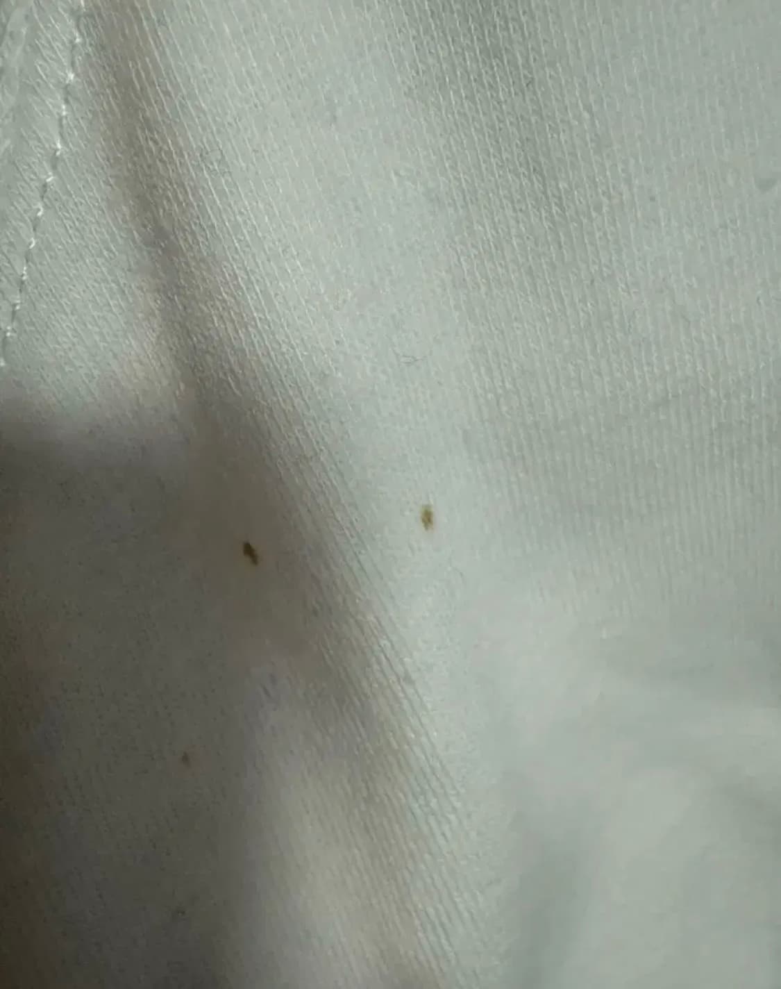 (유일매물)폴로 빅포니 후드집업 핑크 상품이미지3