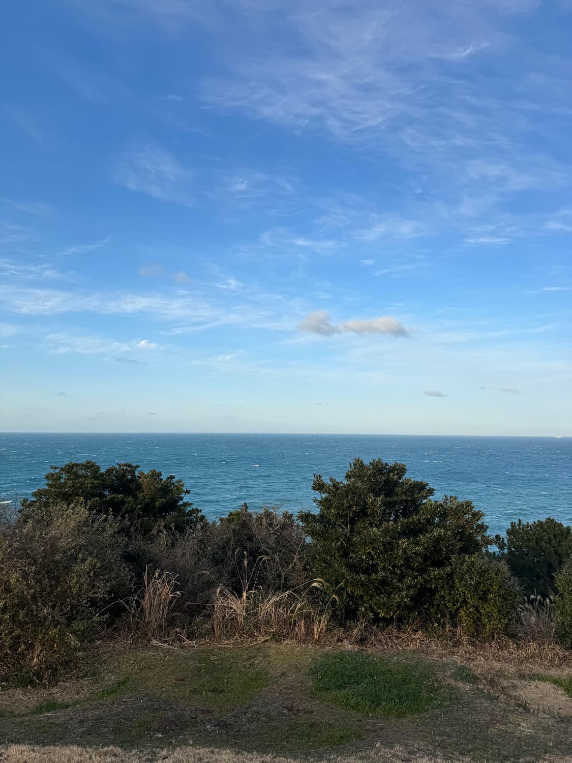 ⭐️ 설 연휴 세일 공지 ⭐️ 상품이미지1