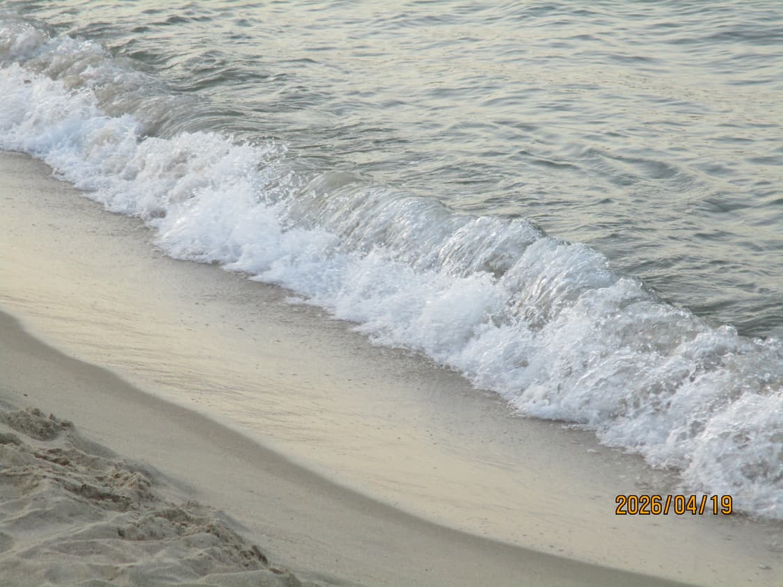 캐논 익서스 160 canon ixus 160 상품이미지9