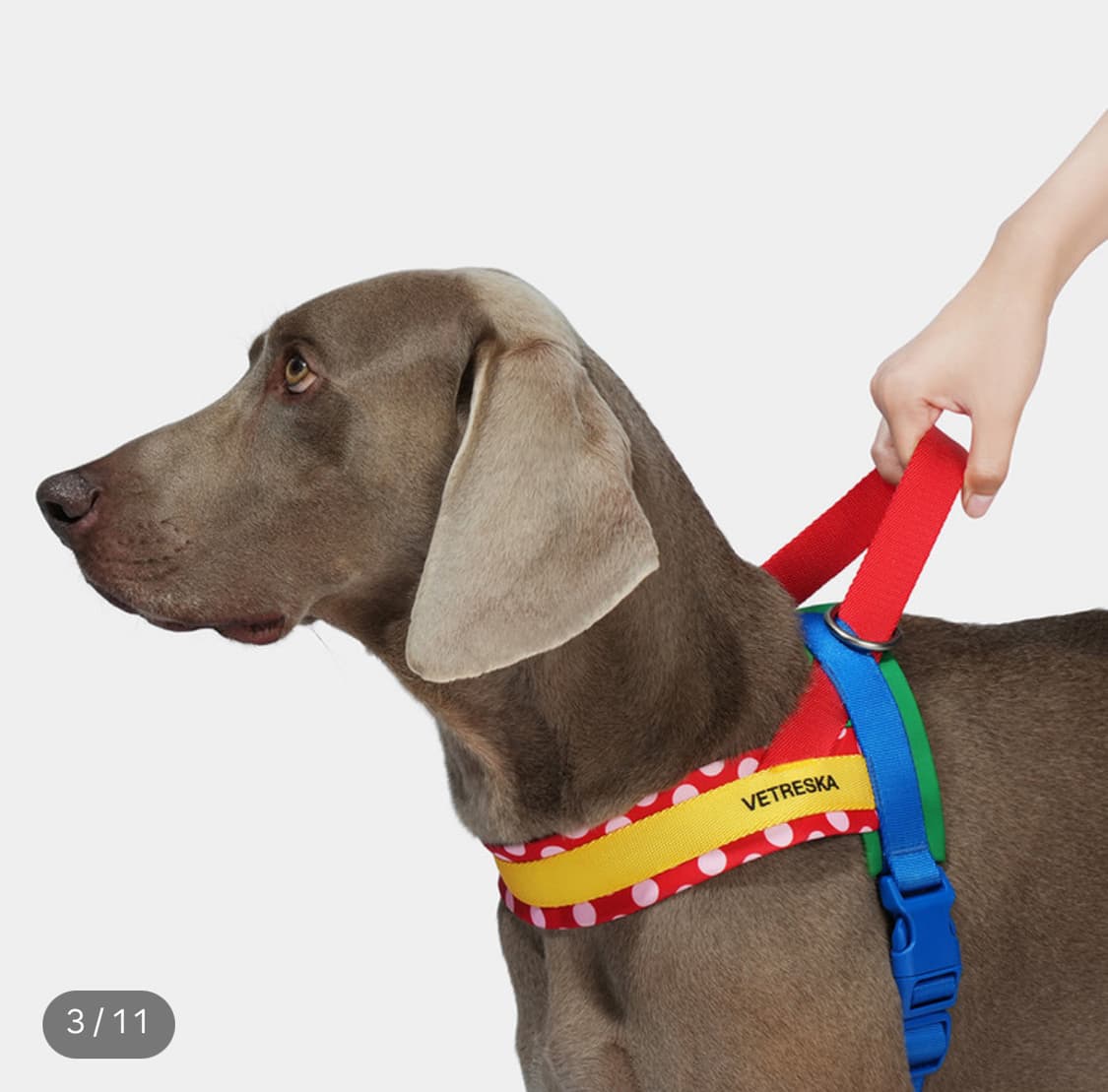 (새상품) MoMa 콜라보 하네스 xs 상품이미지3