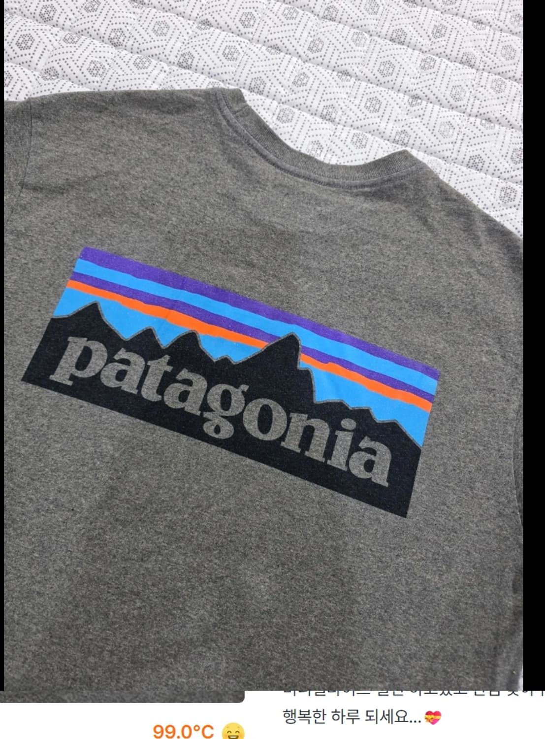 파타고니아 긴팔 티셔츠 95 상품이미지1