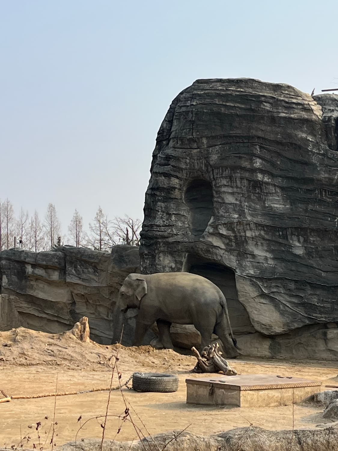 나아나나 커브 라인 아우터 상품이미지1