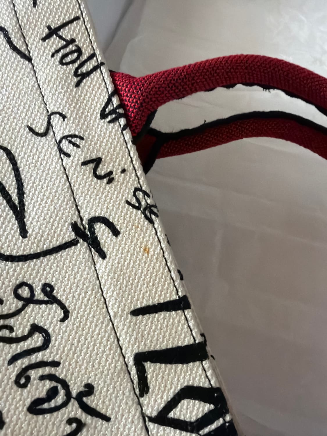 디올 북토트 상품이미지4