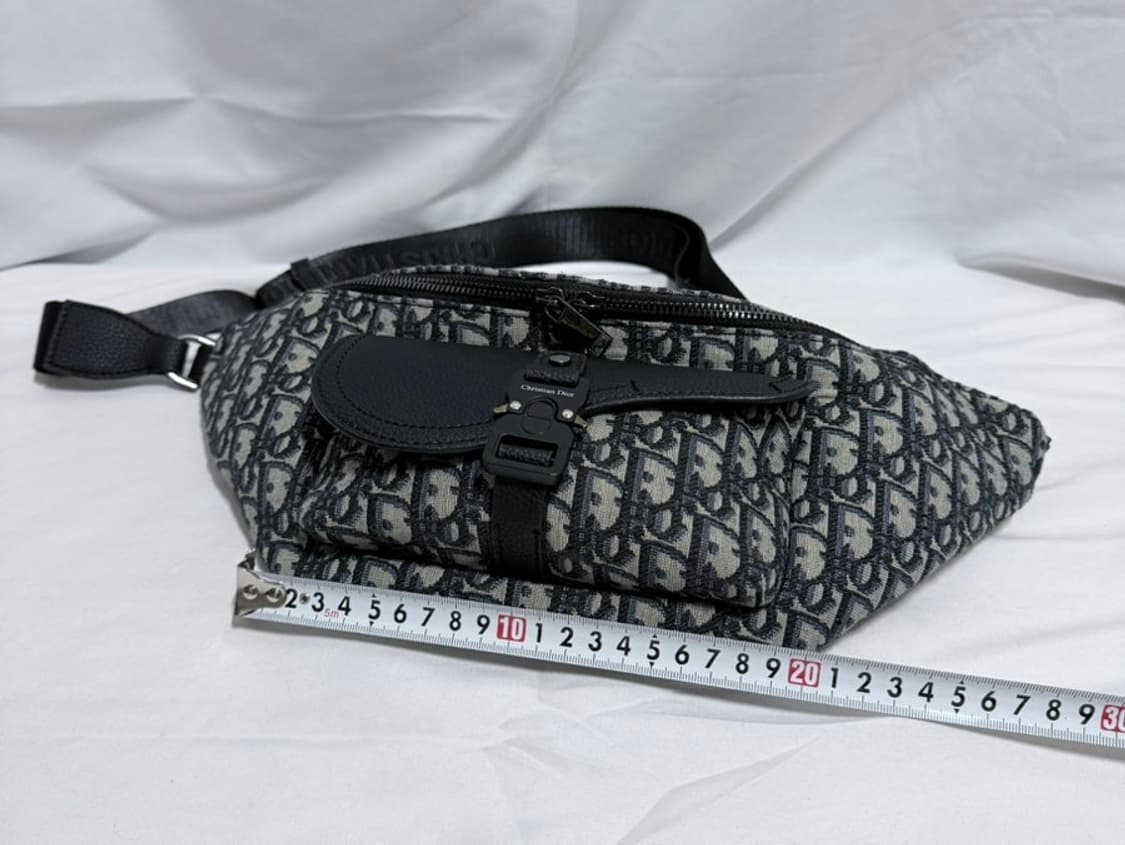 디올 오블리크 새들 벨트백 상품이미지5