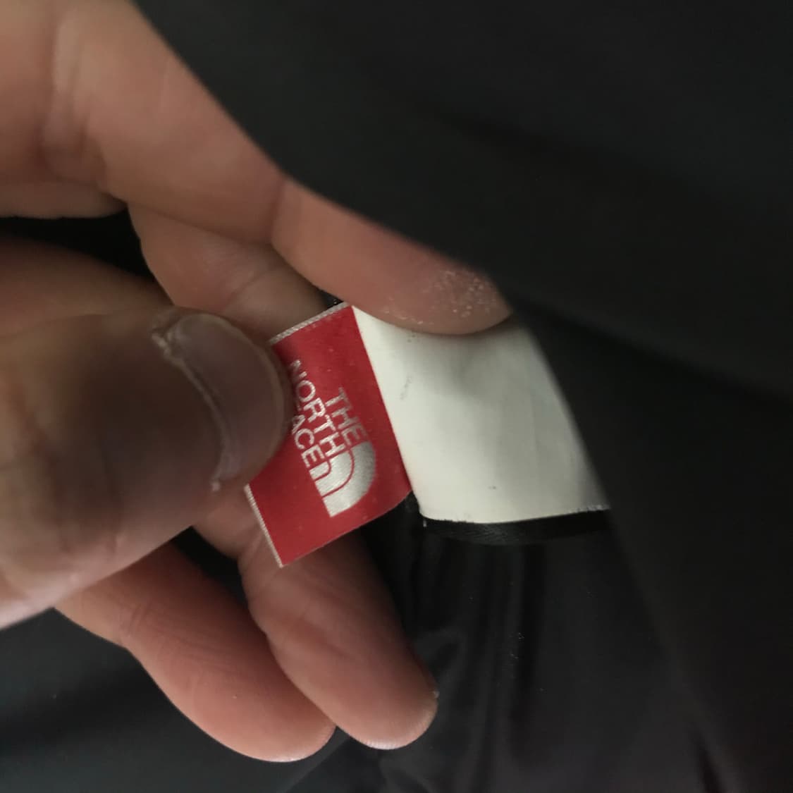 노스페이스의 1996 레트로 눕시 베스트️ 상품이미지6