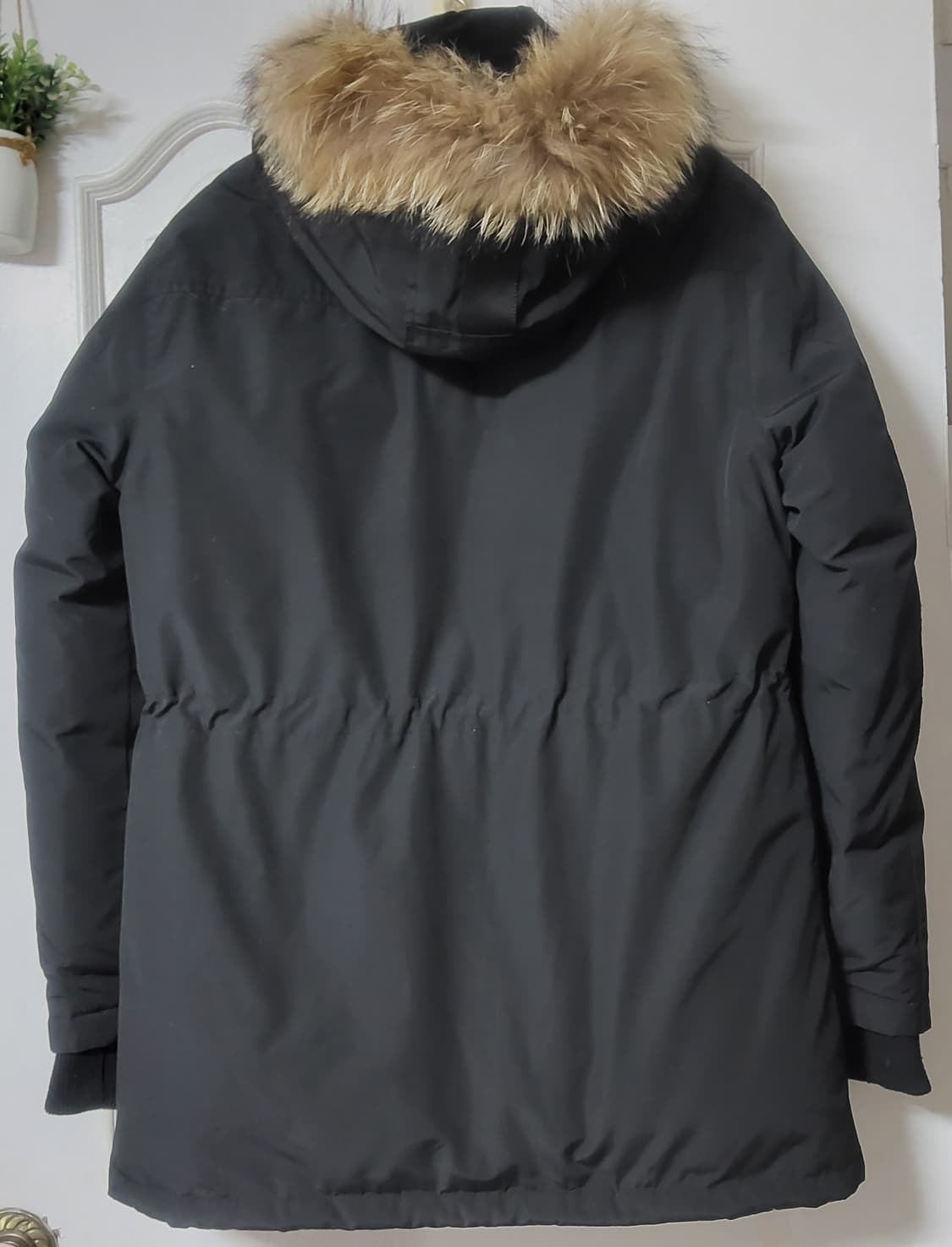 guess 게스 오리털 패딩 정장패딩 하프 덕다운 후드 남자 여자 95 상품이미지3