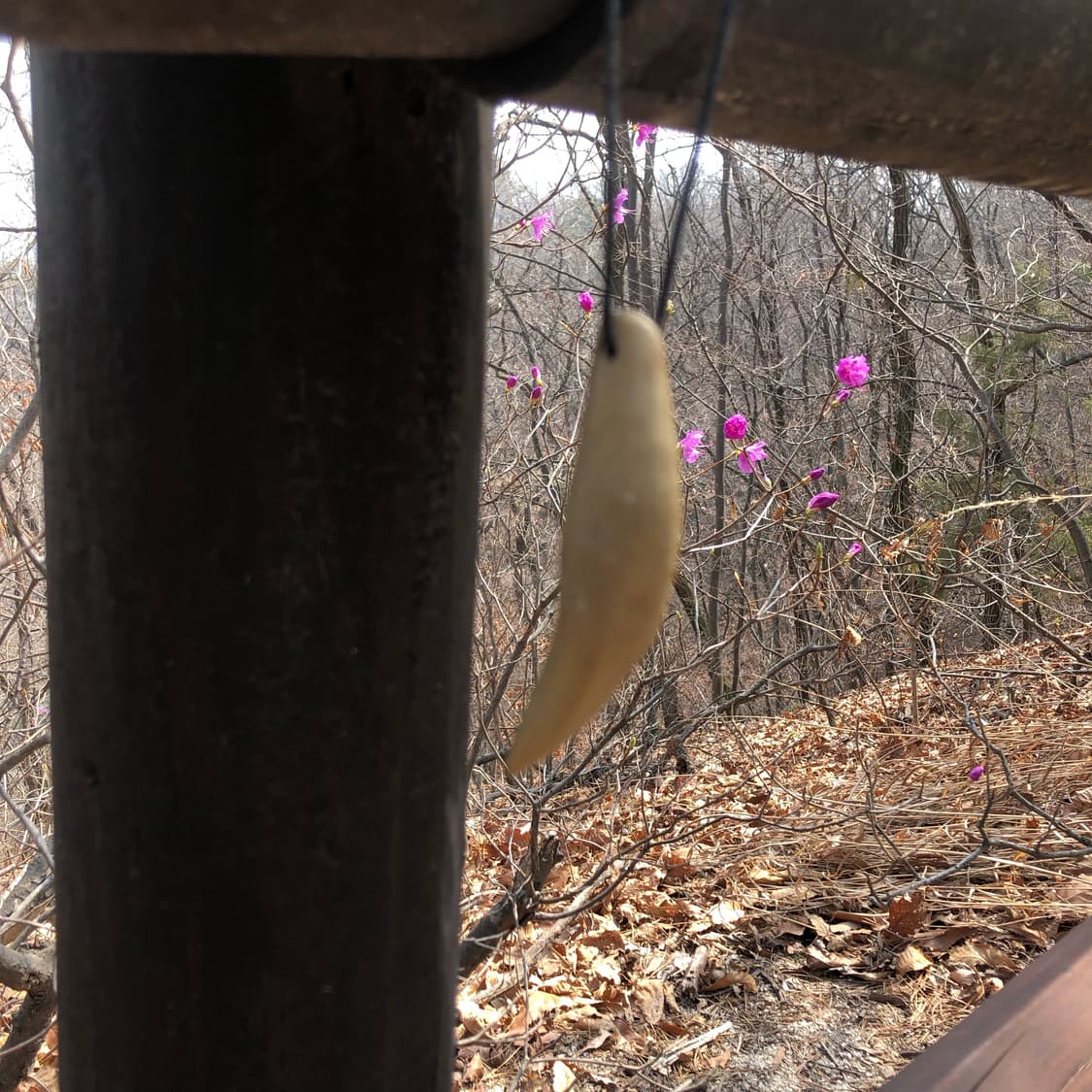아무것도 아닌 말에 2 🥿  상품이미지2