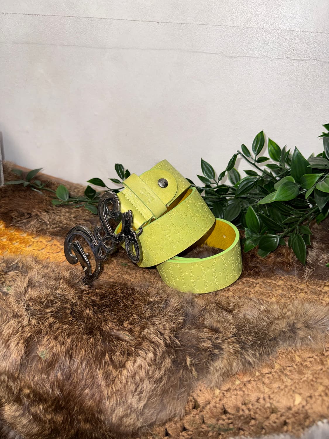 Dolce & Gabbana lime logo buckle belt 상품이미지3