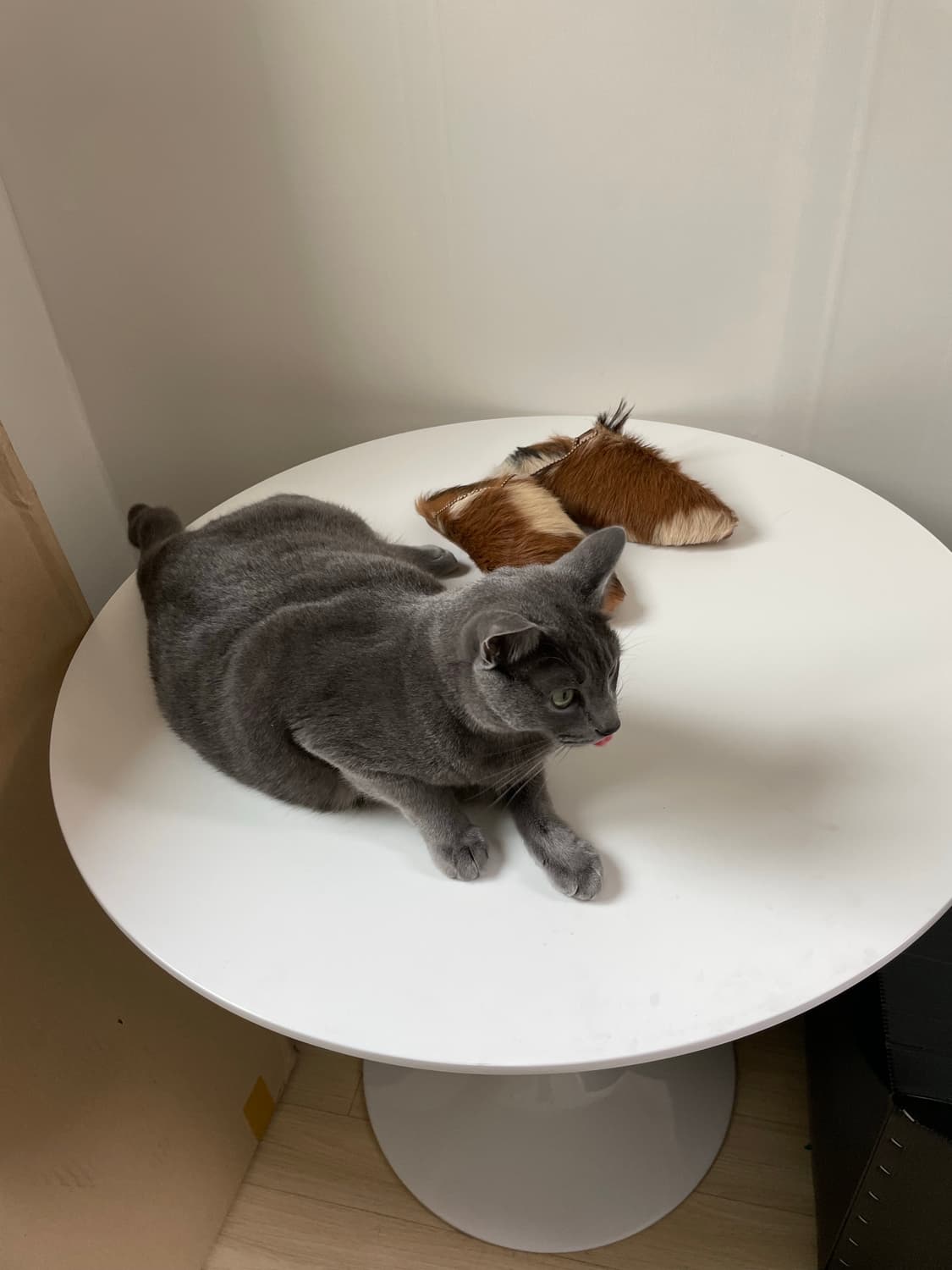 nonhsam 님 개인결제창 (릭오웬스 플레어진 분할결제 1/2) 상품이미지1