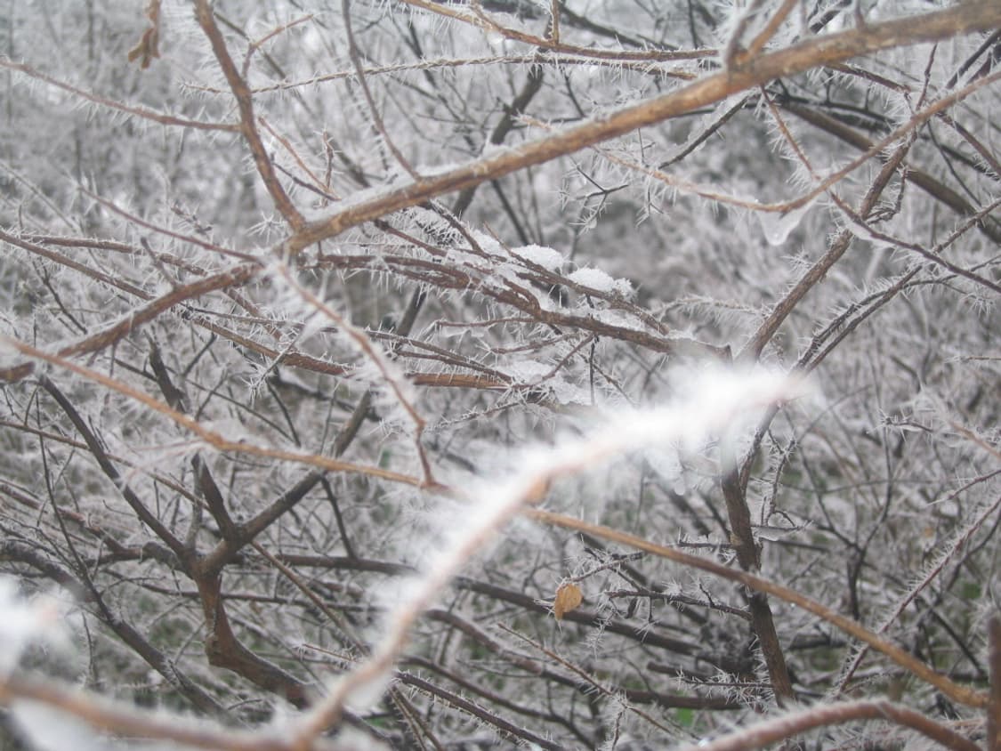 작례O) 캐논 파워샷S50 Canon PowerShotS50 상품이미지10