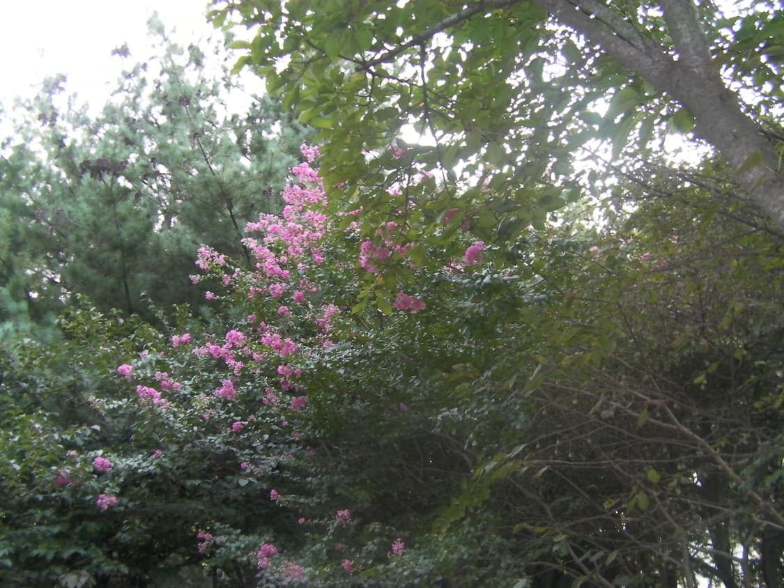 산요작티 cg10 (작례 O)  상품이미지8