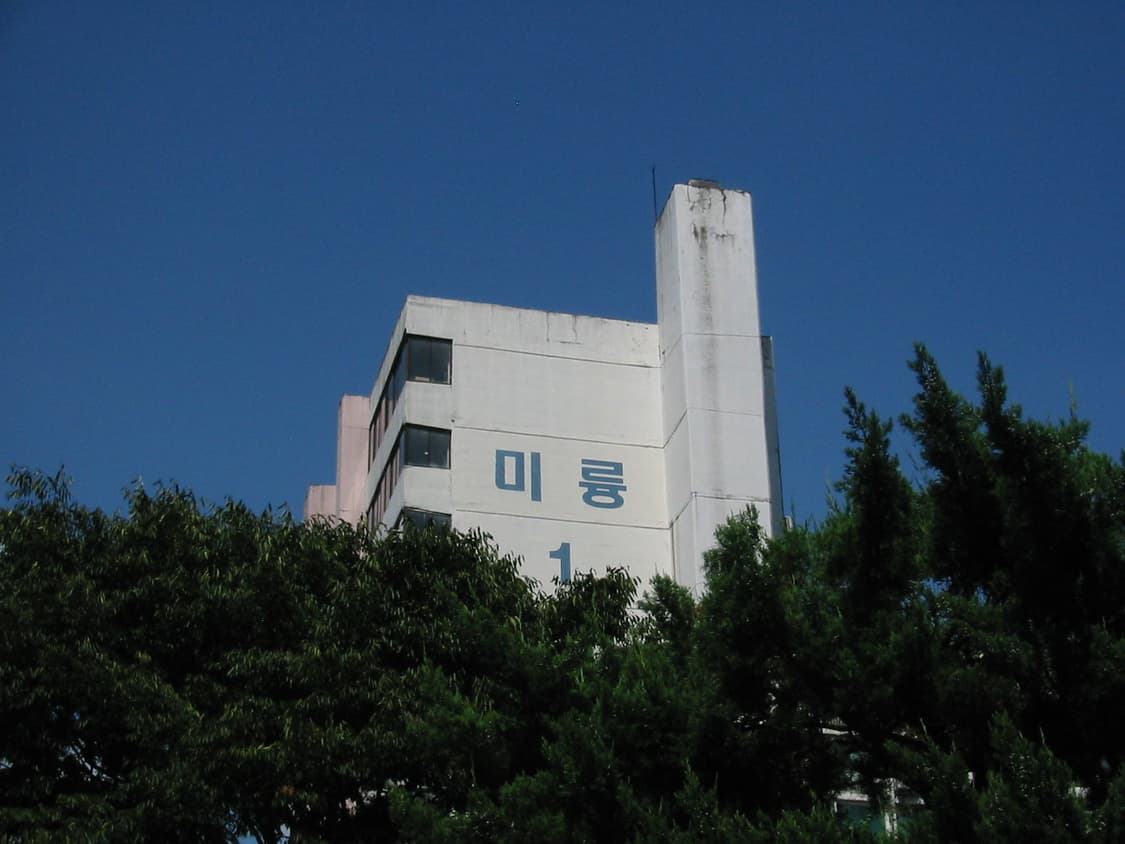 (희귀&초기 모델)Canon Ixy digital 200/Ixus V 상품이미지2