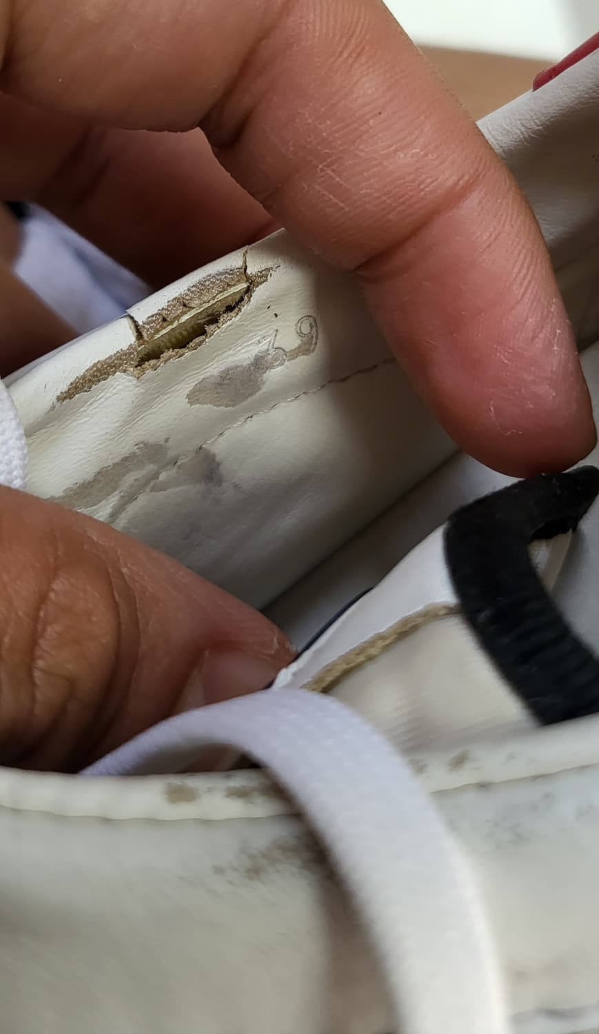 Moncler 몽클레어 39 ( 255) 상품이미지6