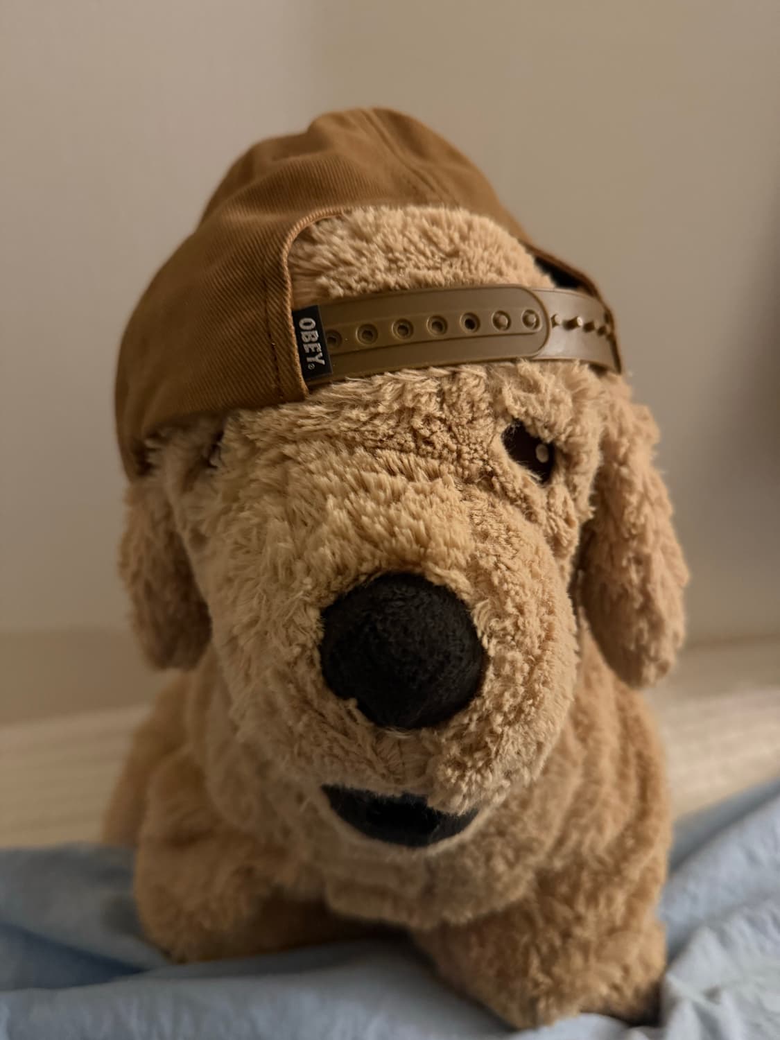 Obey cap모자 상품이미지2