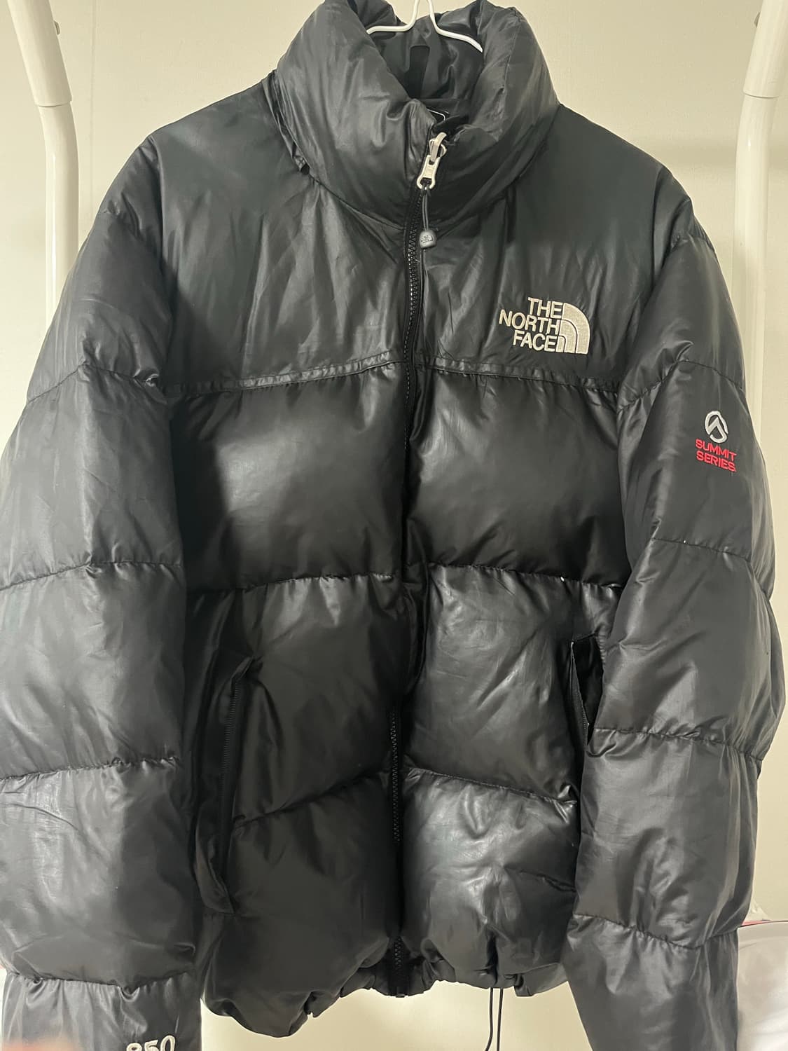 (L, 100)노스페이스 서밋 패딩 850LTD 상품이미지1
