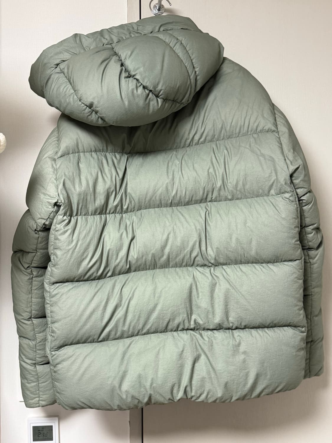 텐씨 알파인 세이지그린 50 상품이미지2