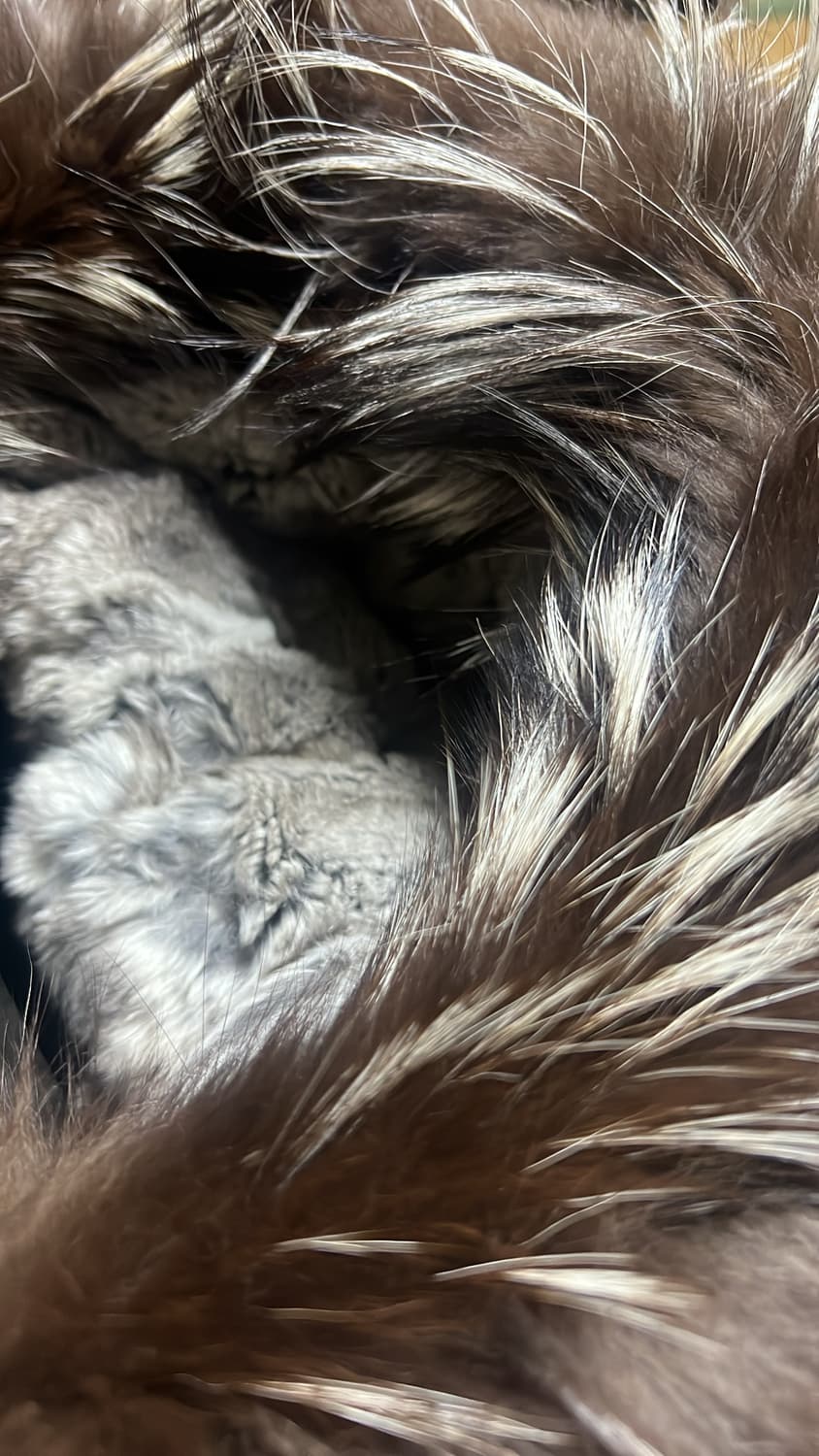 멕케이지 딕슨 실버퍼 상품이미지4