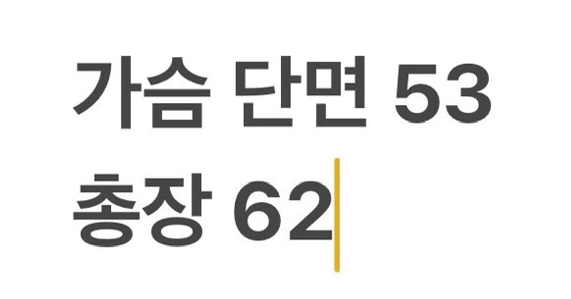 [정품/L] 내셔널지오그래픽 블랙 패딩 조끼 b12 상품이미지7