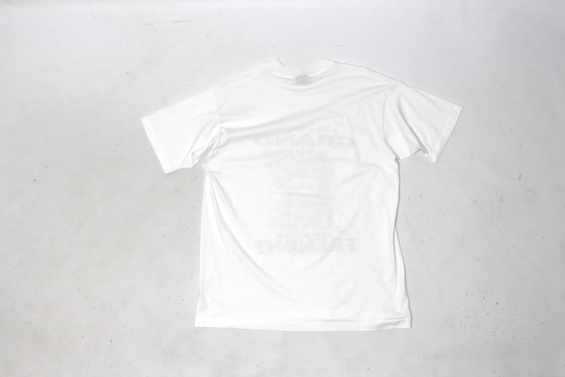 90s USA SINGLE STITCH FRUIT OF THE LOOM  상품이미지5