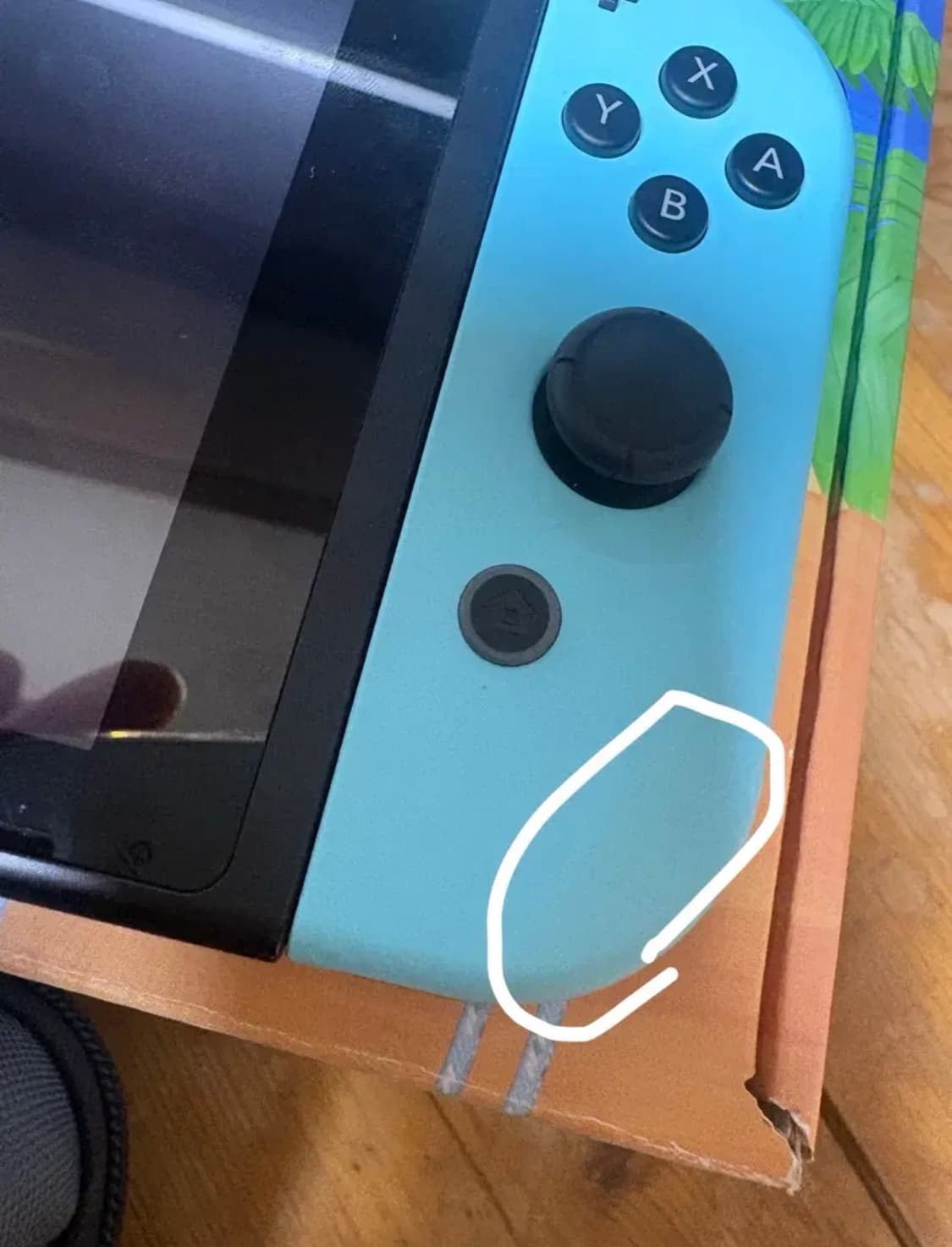 닌텐도 스위치1 동물의 숲 에디션(배터리 개선판), 동물의 숲 칩 상품이미지4