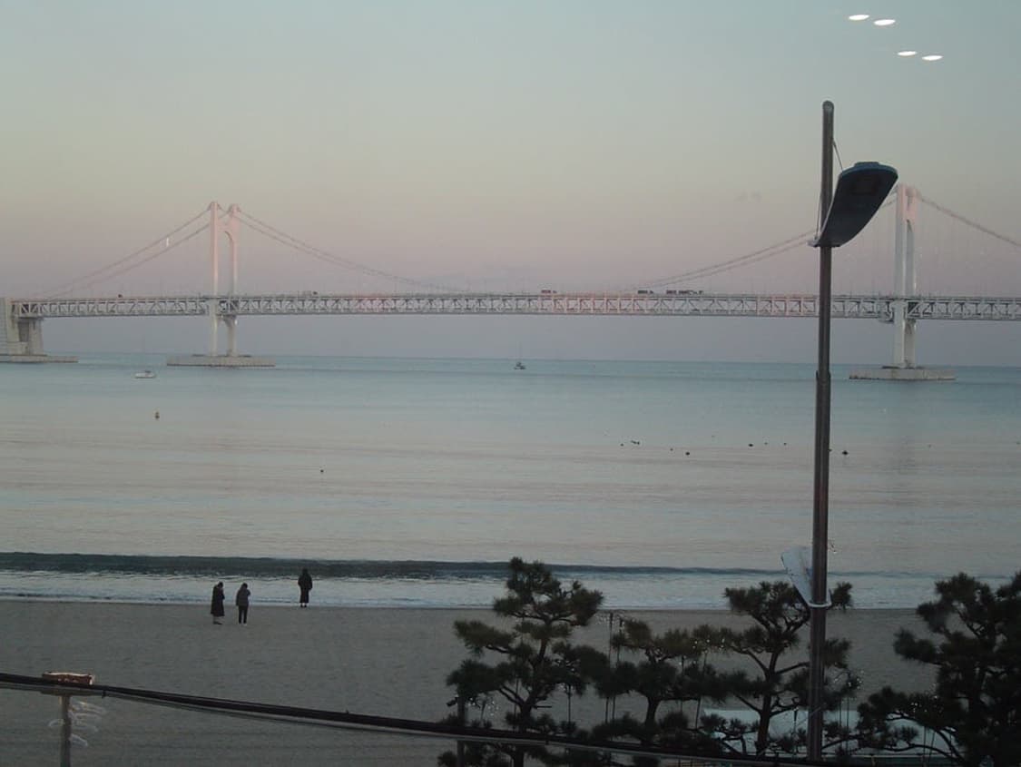 올림푸스 x-250 디카 풀구성 상품이미지6
