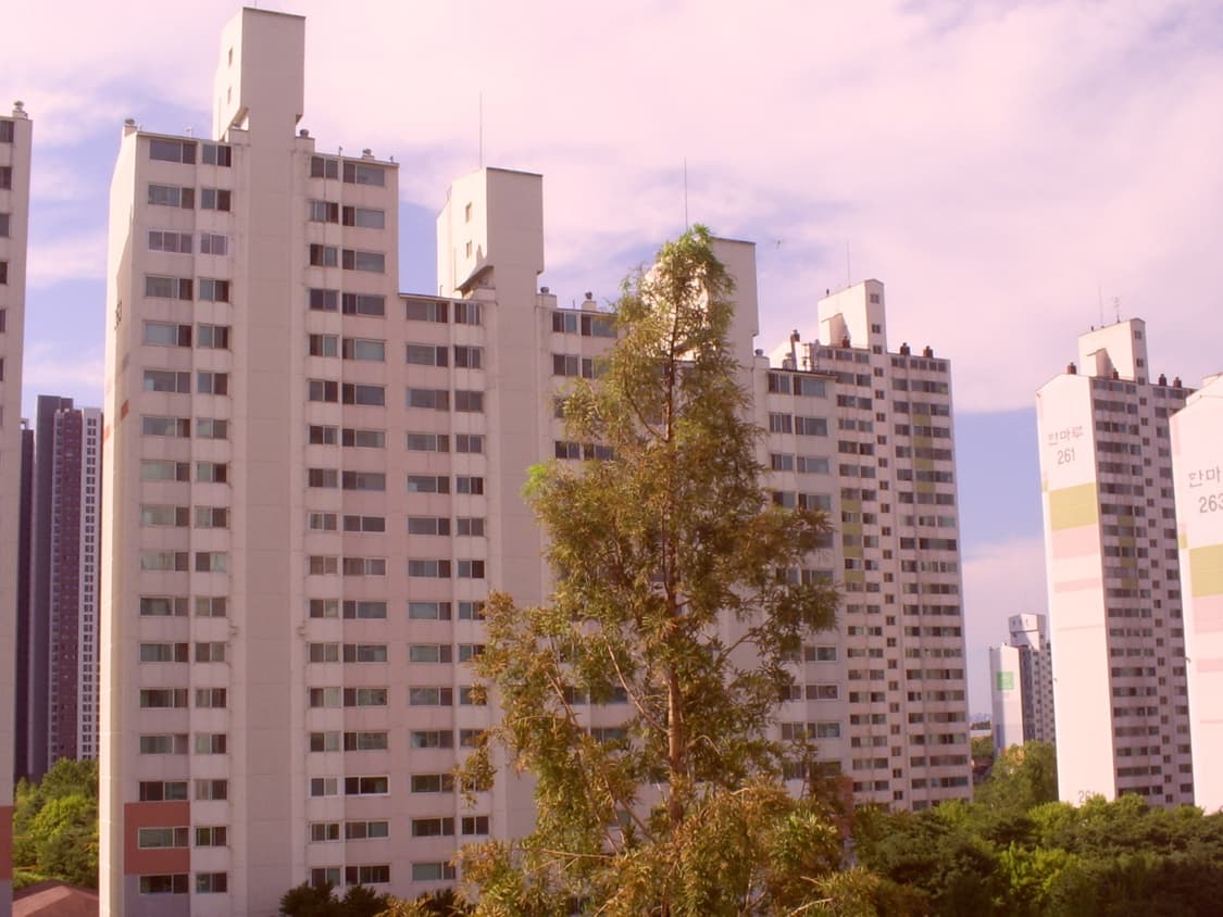 캐녹스 d503디카 상품이미지4