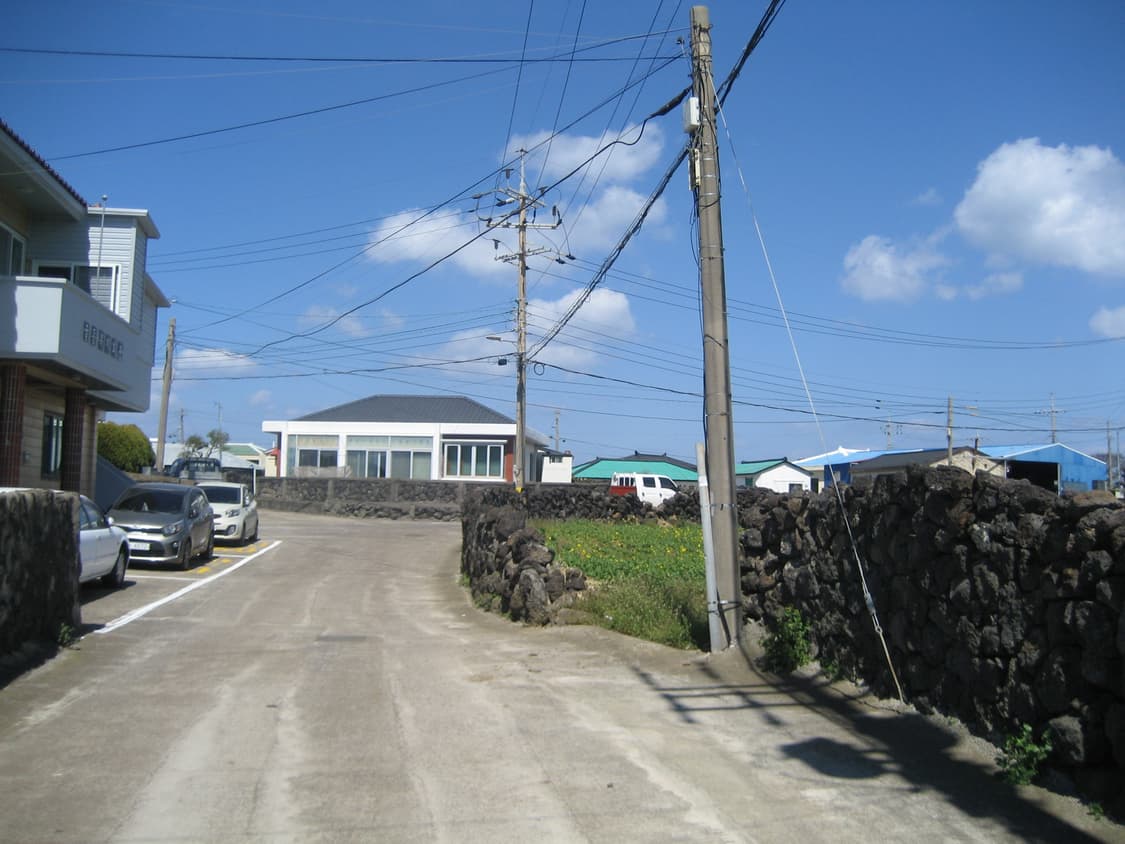 캐논 익서스 65 상품이미지6