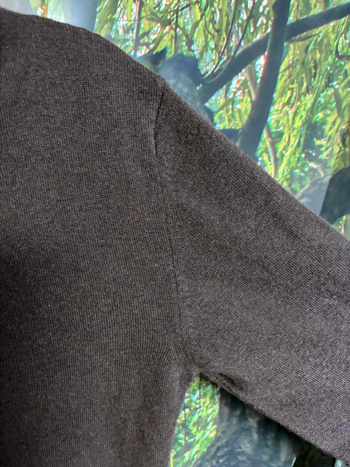 no 2309 / Donalti 상품이미지7