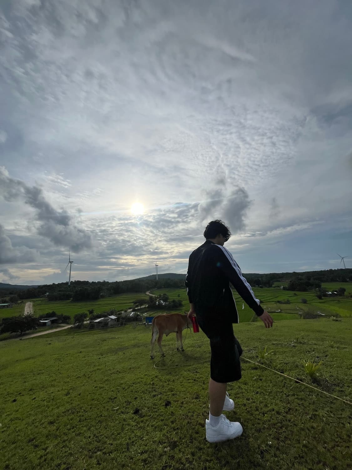 빈티지 데님 버뮤다 팬츠 착샷포함 상품이미지3