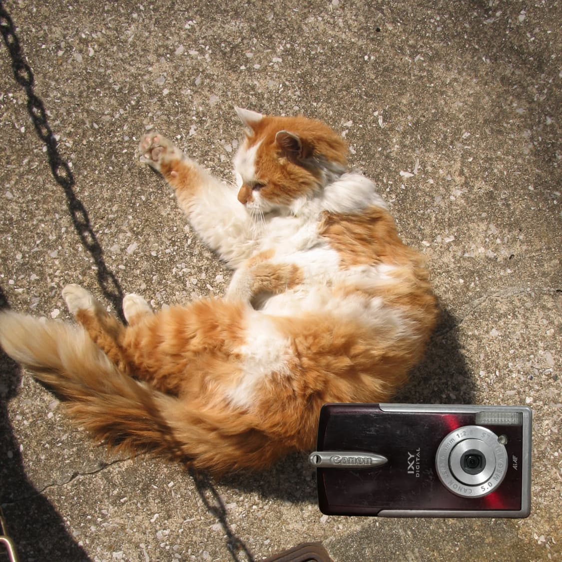 IXY L2(🎁풀패키지/🍷와인색상) 상품이미지2