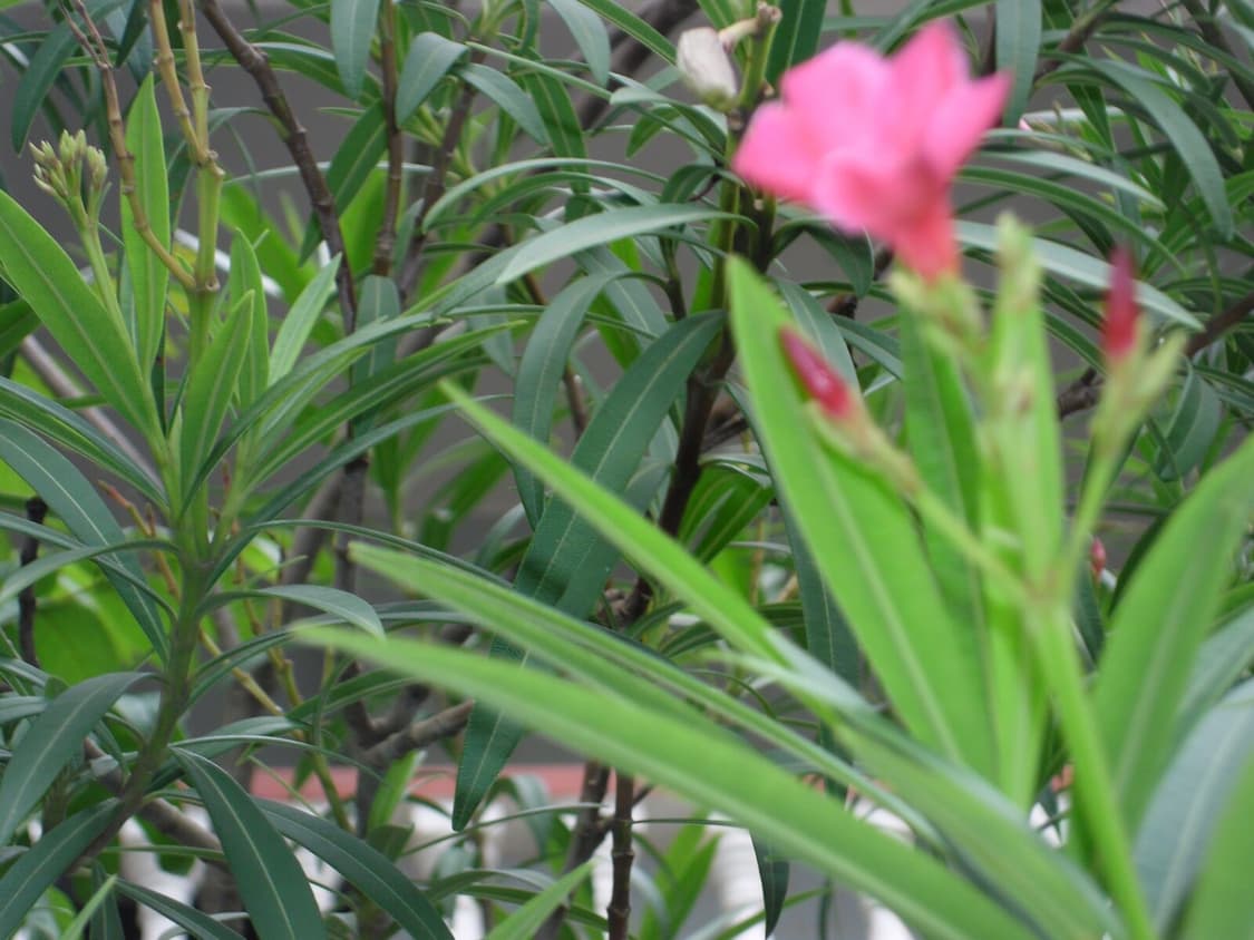 삼성 Samsung VLUU ES30 블랙  상품이미지2