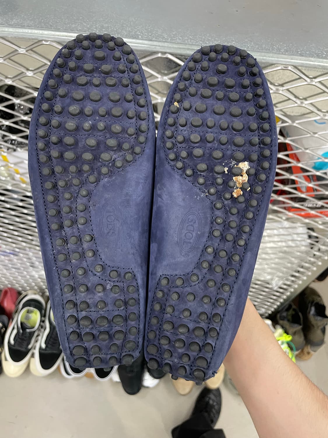 토즈 고미노 드라이빙 슈즈 블루 7 상품이미지6