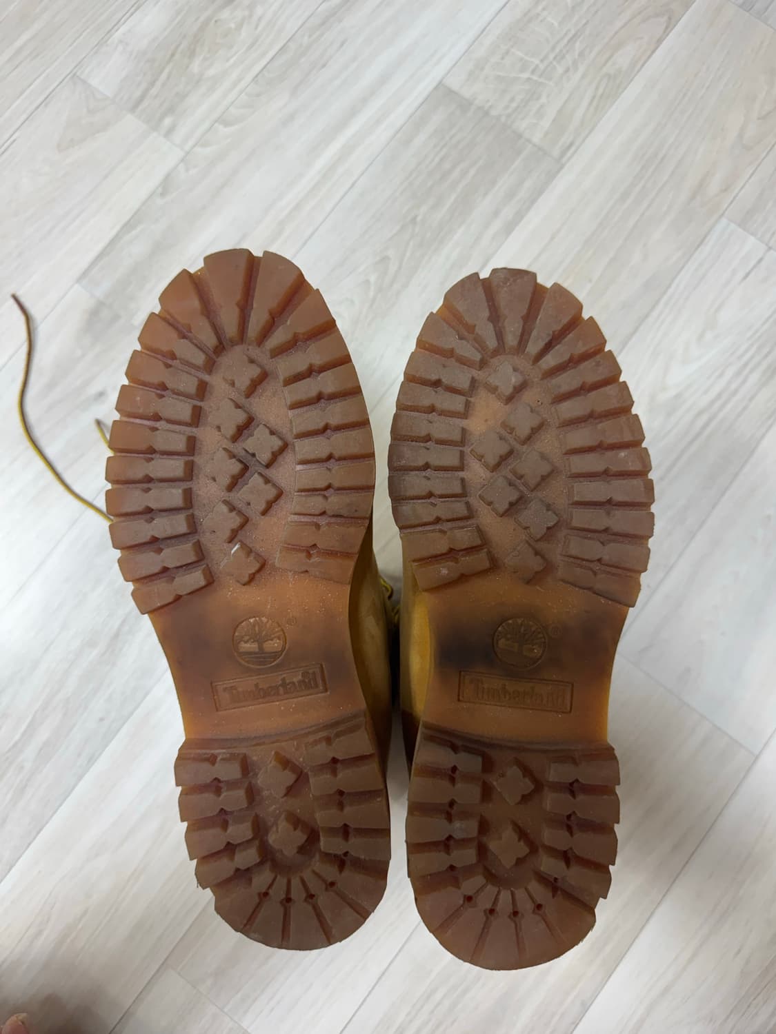 [팀버랜드] 10061 6인치 프리미엄 부츠 상품이미지4