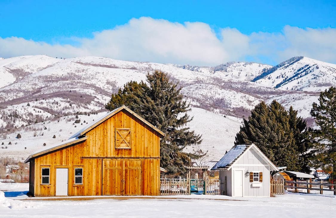 Panasonic Lumix DMC-FS3 (파나소닉 DMC-FS3) 상품이미지10