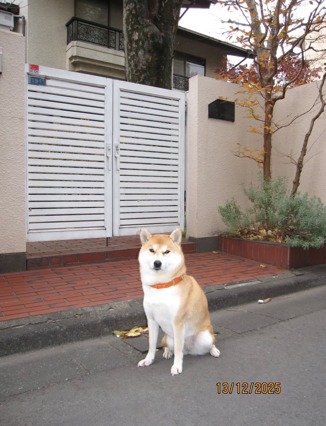 캐논 익시 920 (캐논 익서스 870 IXUS 870) 빈티지 디카 상품이미지4