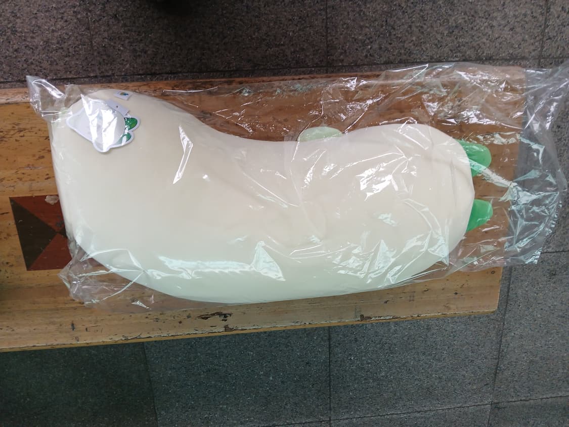 꼭 안아줘요 양파쿵야 바디필로우 팝니다 상품이미지2