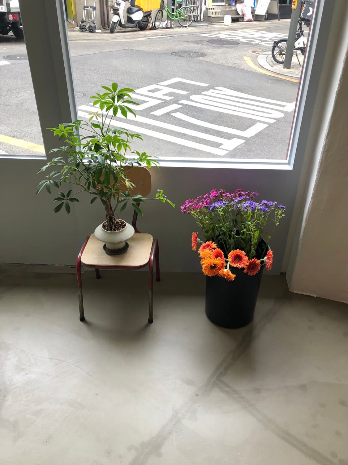 Why님 개인 결제창  상품이미지1