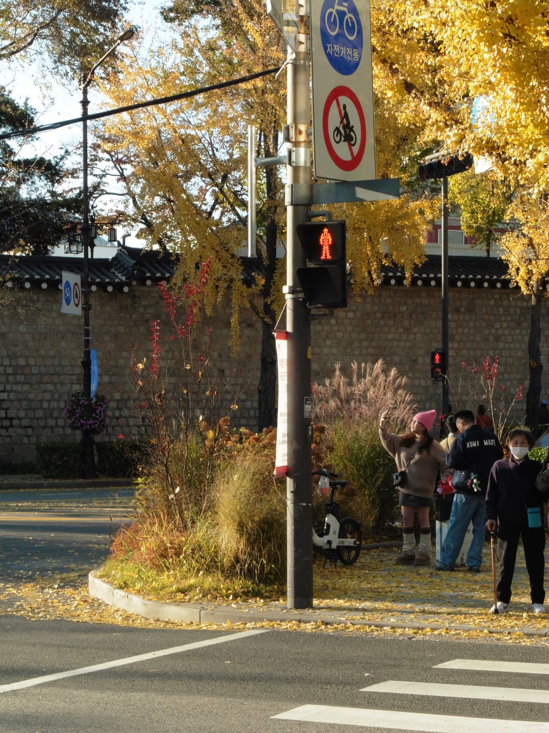 파나소닉 루믹스 DMC-TZ56 상품이미지8