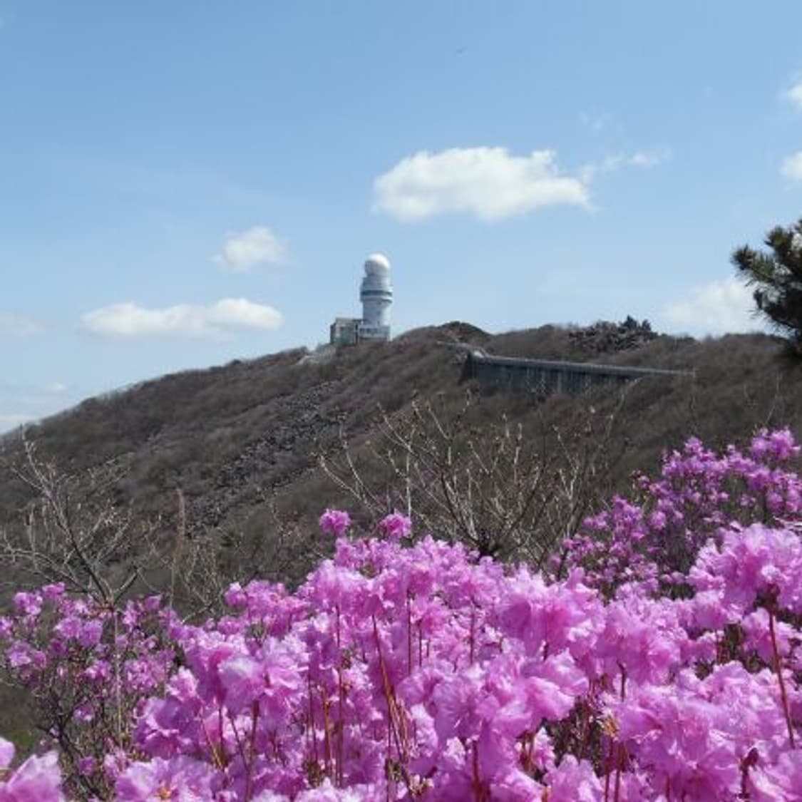 삼성 wb35f 디카 (빈티지 카메라) 상품이미지7