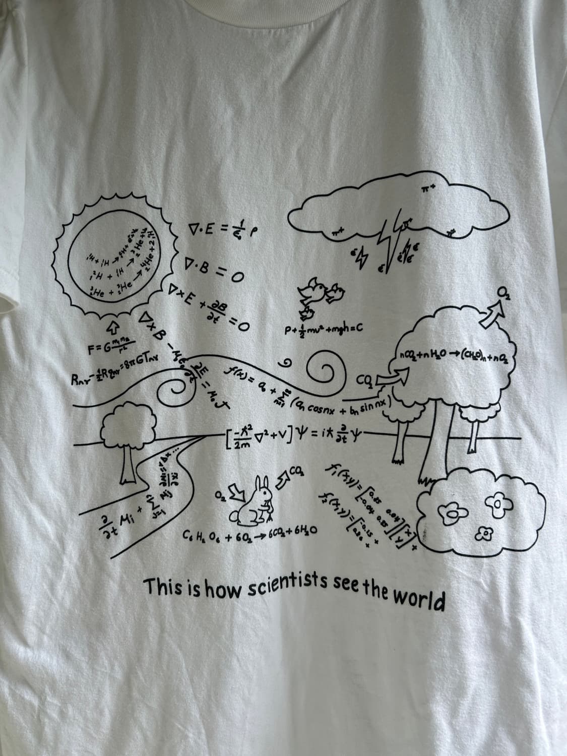 This is how scientists see the world  상품이미지7