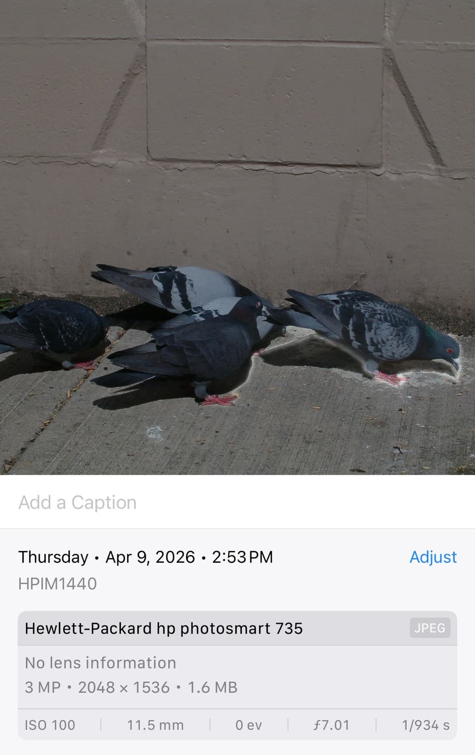 HP Photosmart 735 상품이미지5