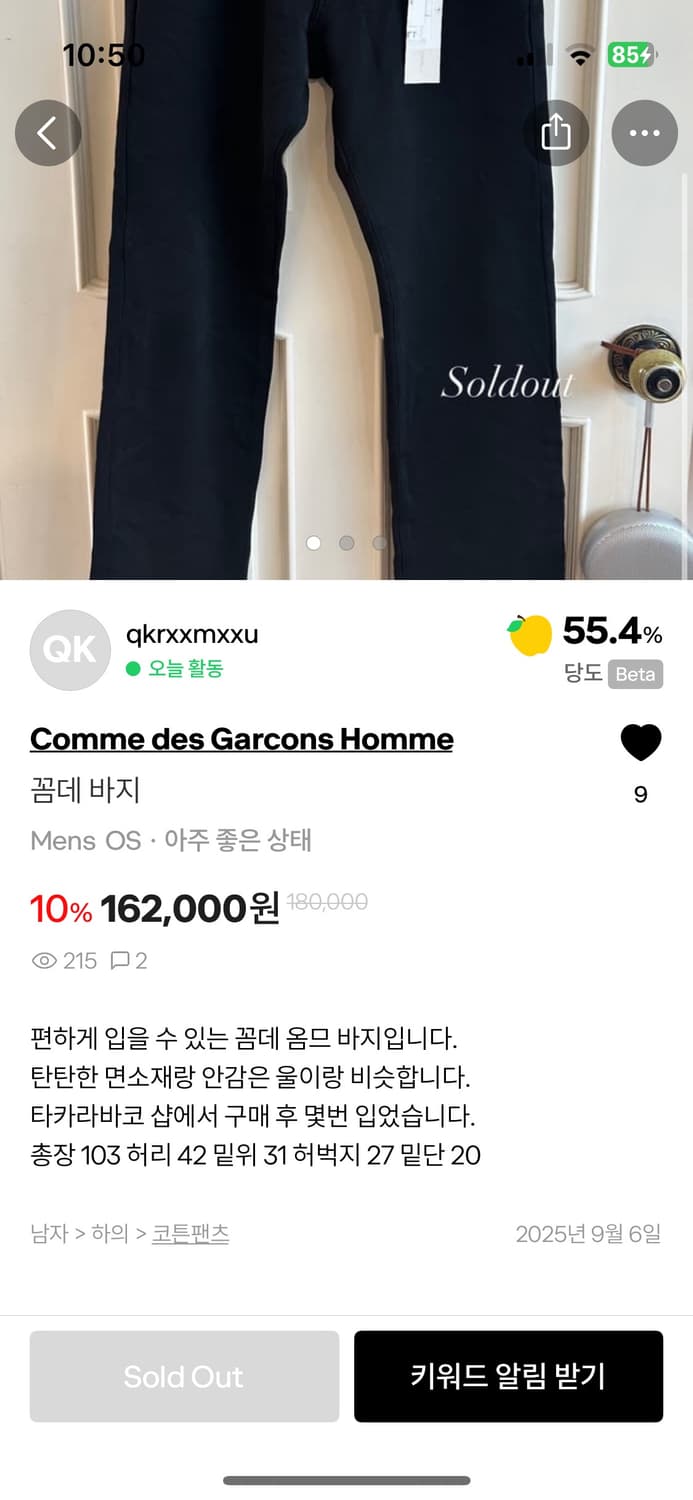Comme des garcons pants 상품이미지4
