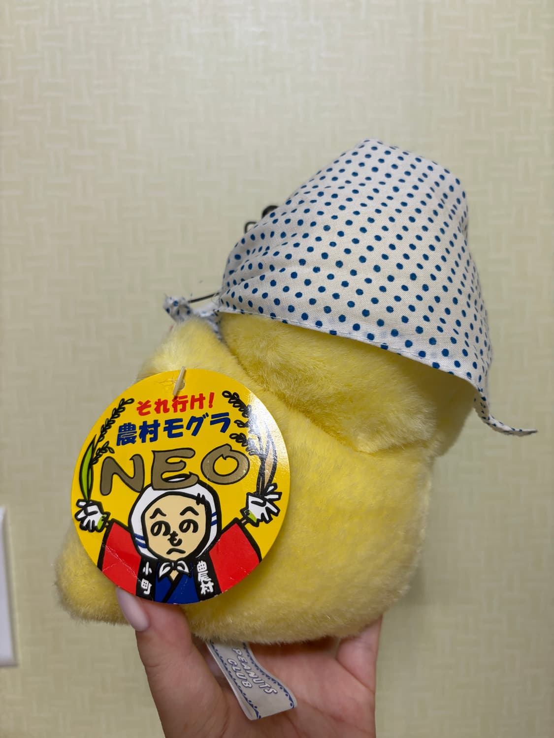 고전 빈티지 피너츠클럽 두더지 인형 상품이미지3