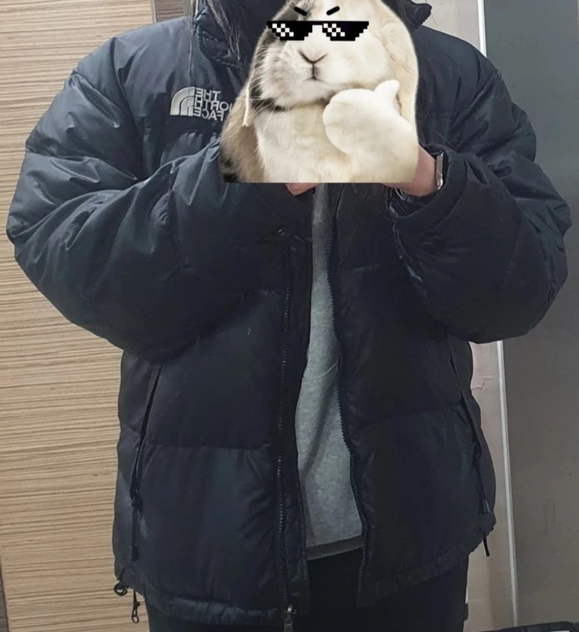 노스페이스 센터로고 700 눕시패딩 상품이미지7