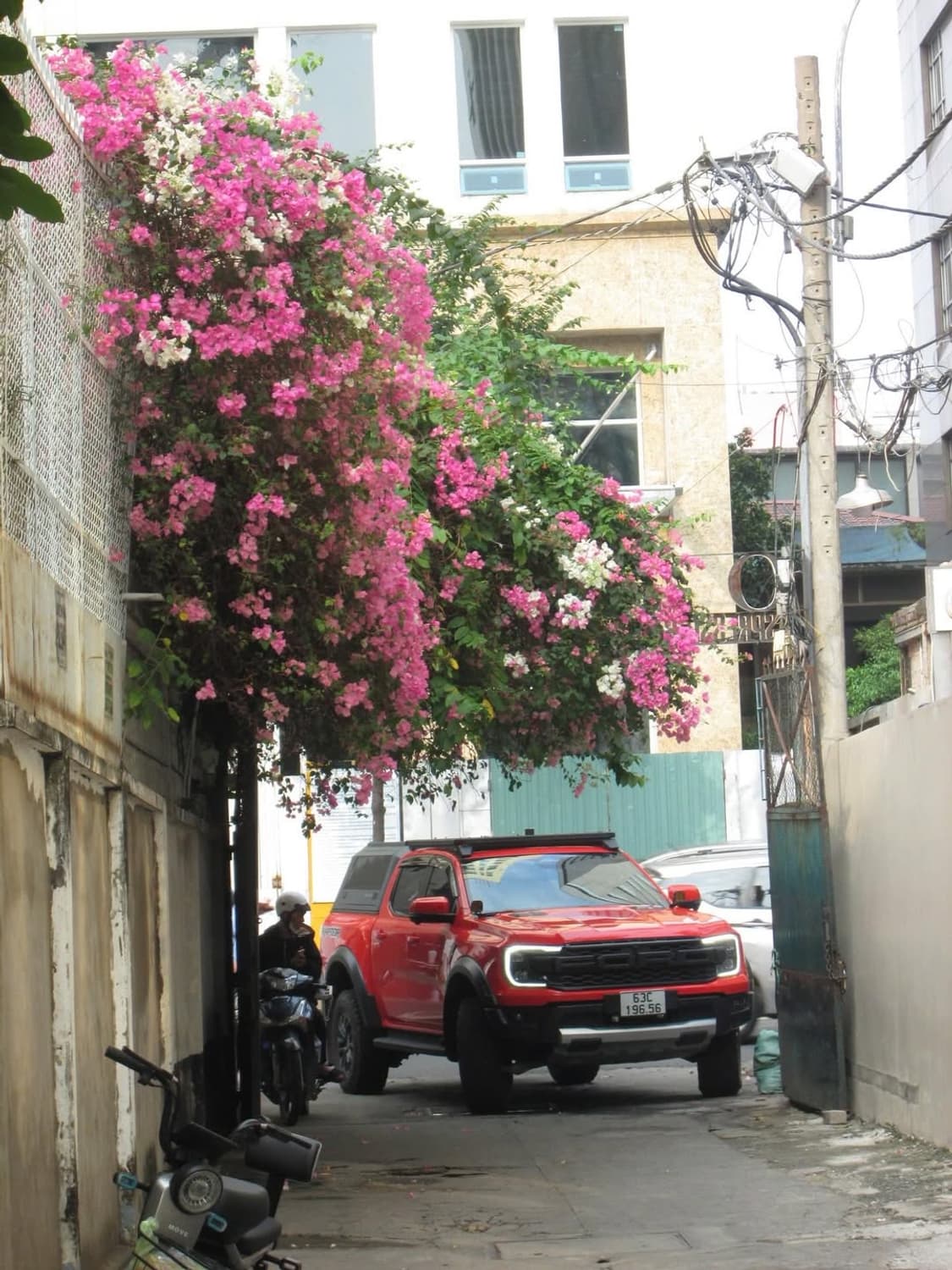 준민트✨ 수지디카 ) 캐논 ixus132 ixy90F / 익서스132 상품이미지2